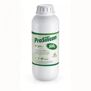 xx_prosiliconbx-site-15894998373079-fb989e1958dc70135375f6d7c07f3cd9.webp