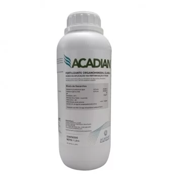 ACADIAN 1LT - KOPPERT