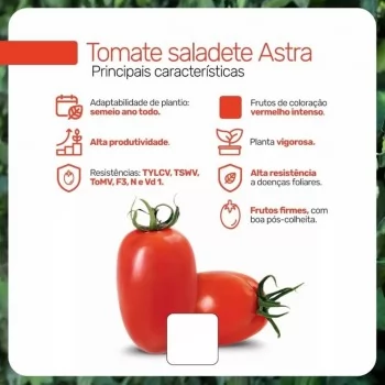 SEMENTE TOMATE HIB. ASTRA 1000 SEMENTES - TAKII SEED