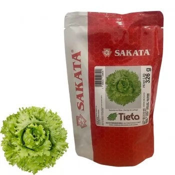 xx_semente-de-alface-tieta-94aa16f0dcb7367bc2bbd97b240aed71.webp
