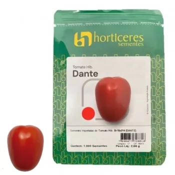 xx_tomate-dante-1-64bb3aa6503bb4446e771e4fa64d7997.webp