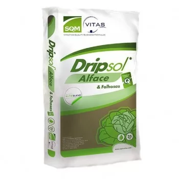 xx_drip-alface-ffd008980555848d4dc100047d8892ed.webp