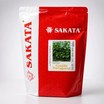 SEMENTE DE SALSA GRAUDA PORTUGUESA 500GR - SAKATA