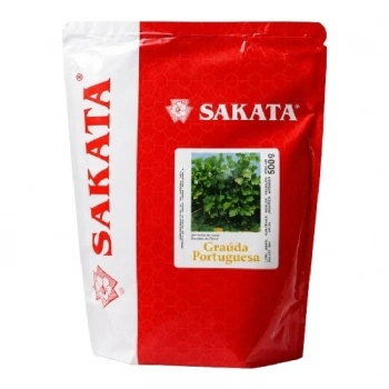 xx_salsa-7bc467b2b114a3f1f635ad252c85fa22.webp